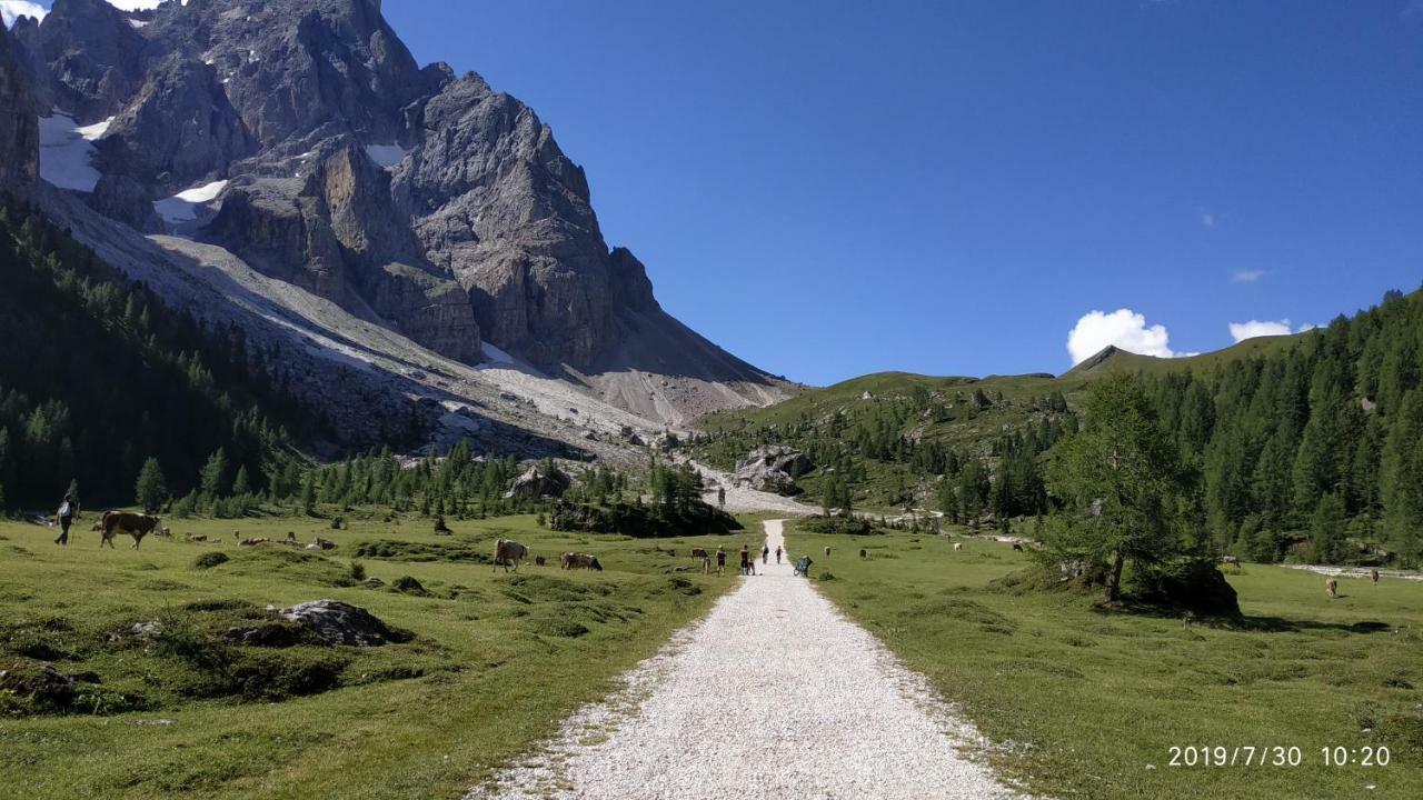 Apartmán Il Covo Dello Sciatore Falcade Exteriér fotografie