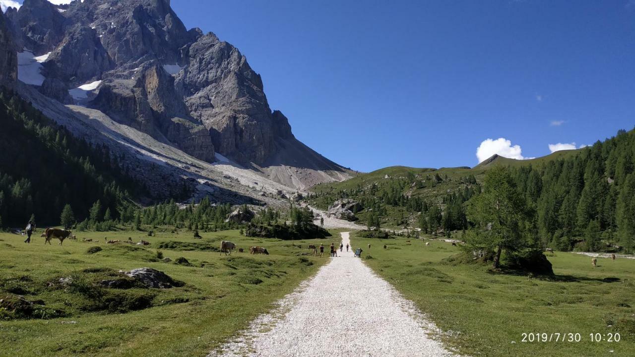 Il Covo Dello Sciatore Falcade Exteriér fotografie